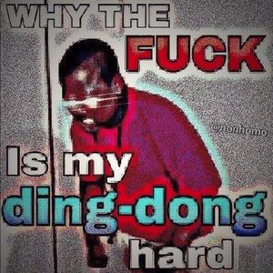 Meet your Posher, Patrick